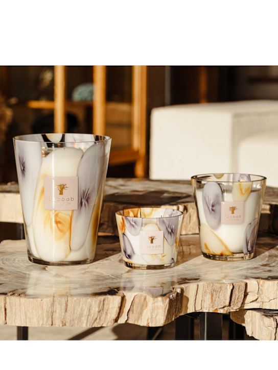 Baobab Collection Max 24 Riviera Eilenroc candle