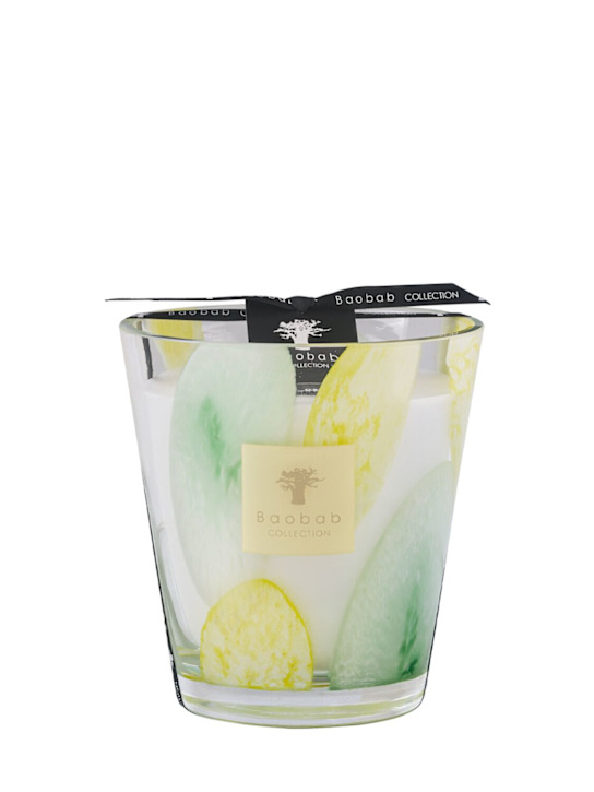 Baobab Collection Max 16 Riviera Santo Sospir candle