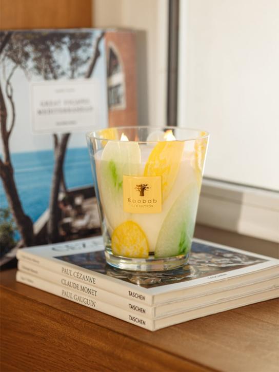 Baobab Collection Max 16 Riviera Santo Sospir candle