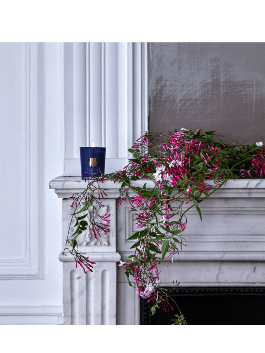 Trudon 70g Reggio candle