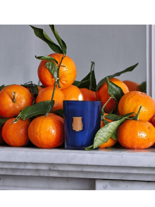 Trudon 70g Reggio candle 3 Trudon 70g Reggio candle