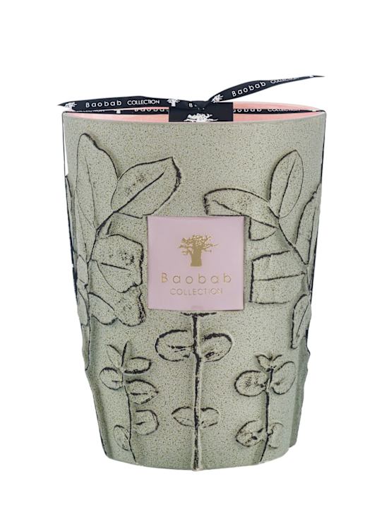 Baobab Collection Max 24 Folia Maquis candle