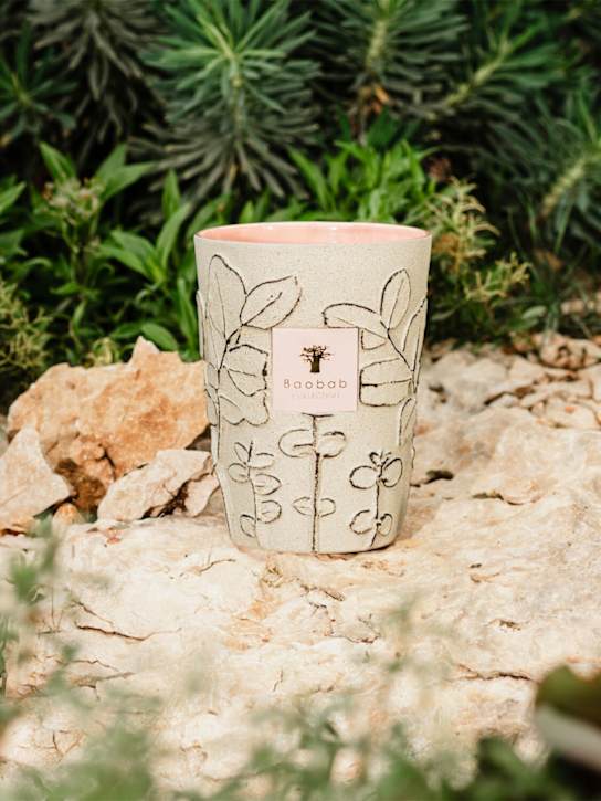 Baobab Collection Max 24 Folia Maquis candle