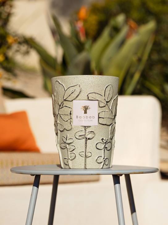 Baobab Collection Max 24 Folia Maquis candle 3 Baobab Collection Max 24 Folia Maquis candle