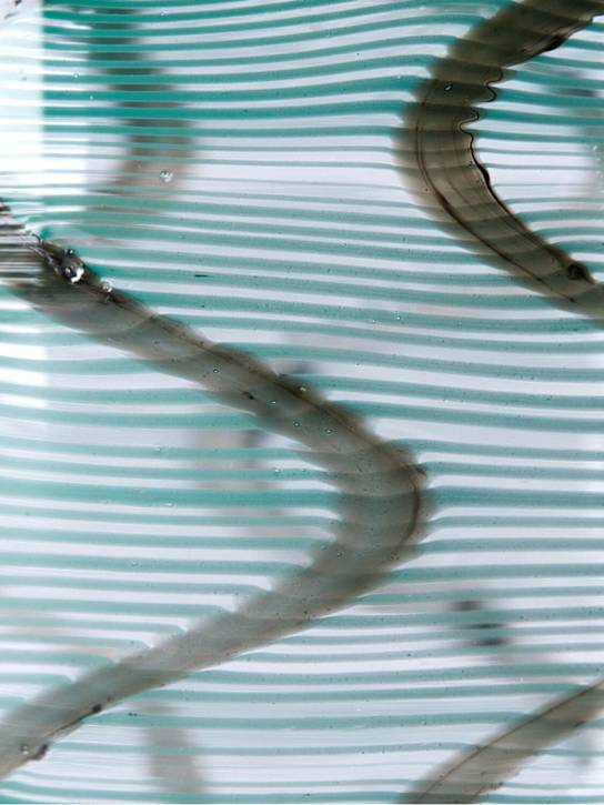 The Conran Shop Tavolo Aqua tumbler