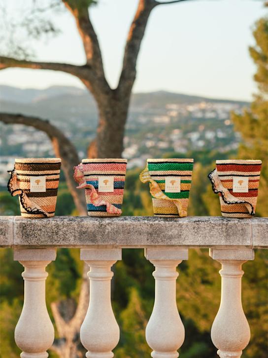 Baobab Collection Max 16 Fety Mandihy candle